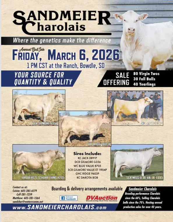 sandmeir-charolais-png