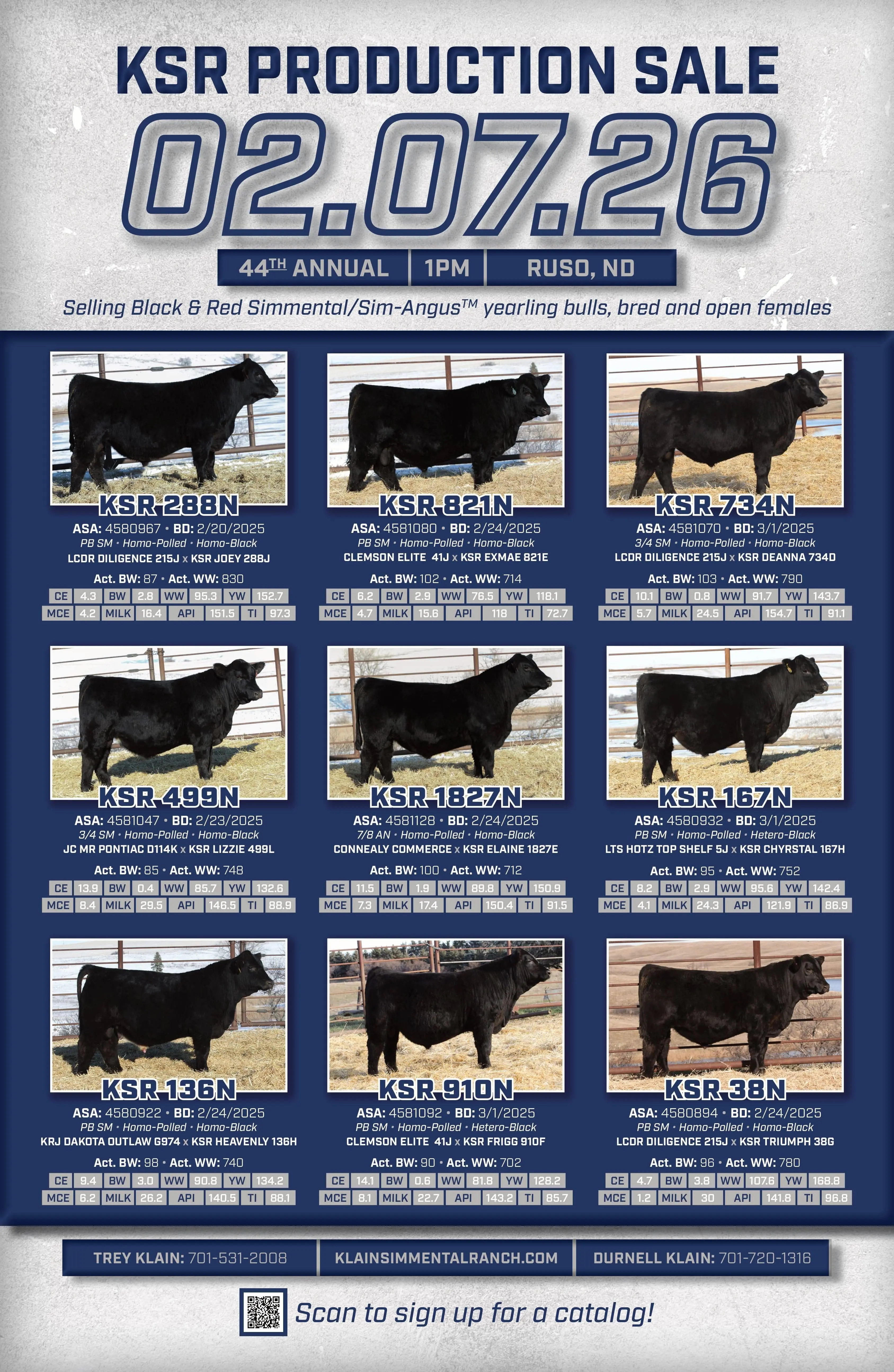 ksr_poster_2026_web-1