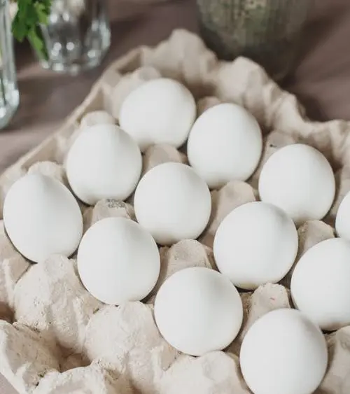 white-eggs-jpeg-3