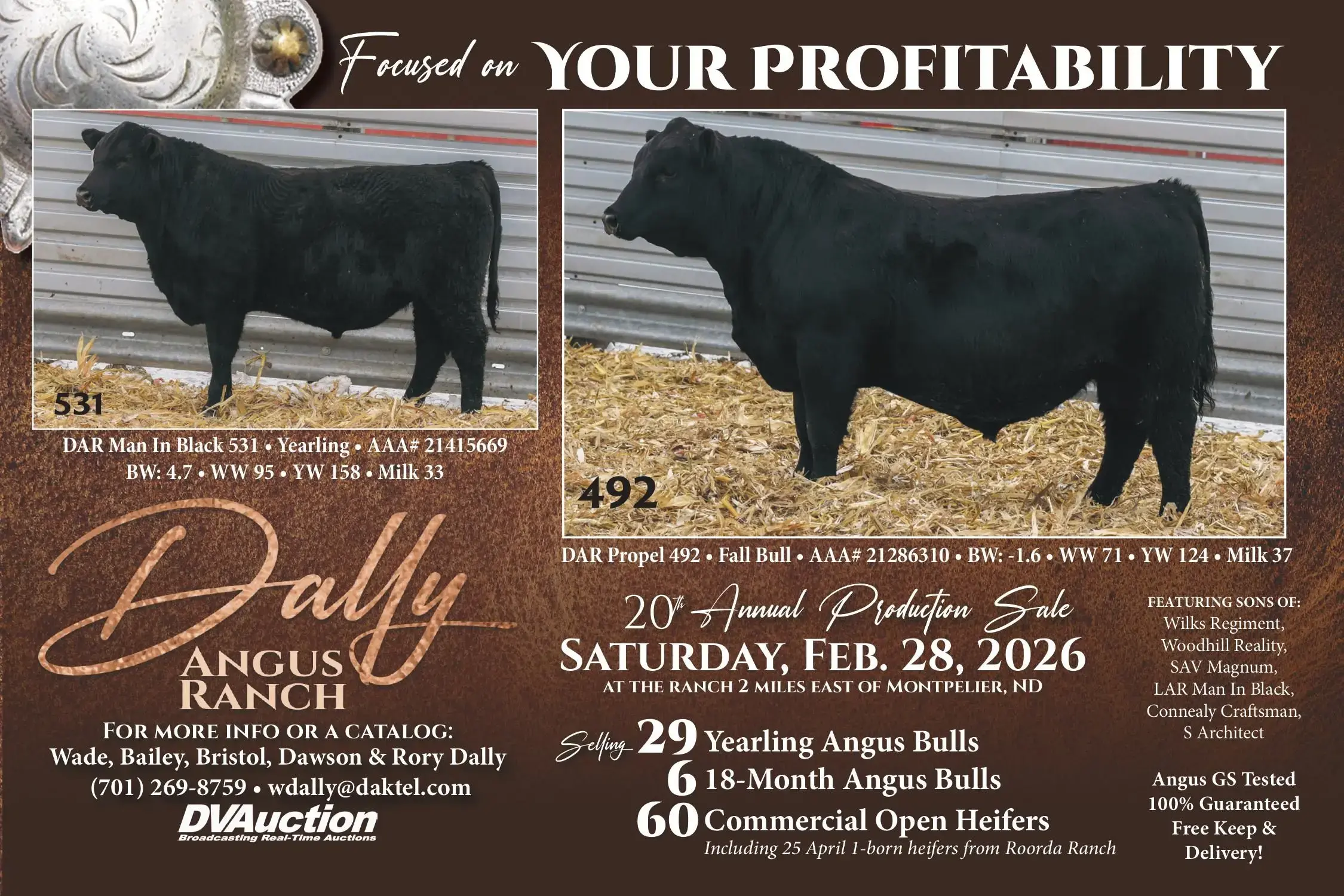 dally-angus-ndan-ndstockman2026-jpg