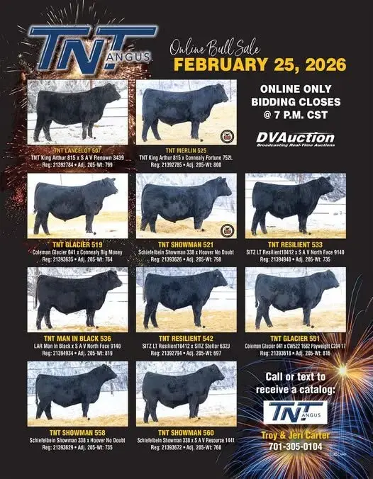 618237925_1200919502150108_5713167314596775562_n-jpg