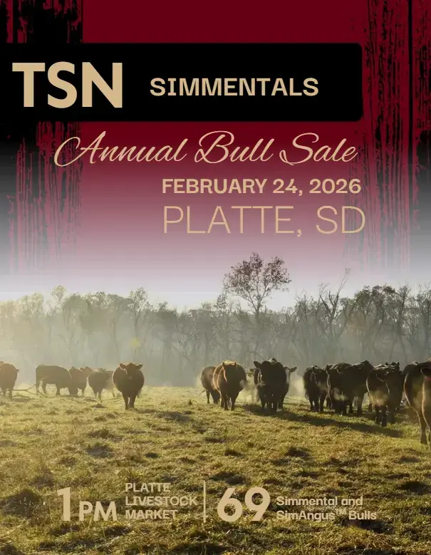 tsn-simmental-flyer-png