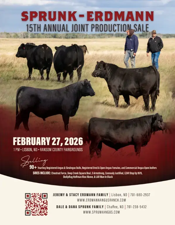 screenshot-2026-02-05-092819-png-2