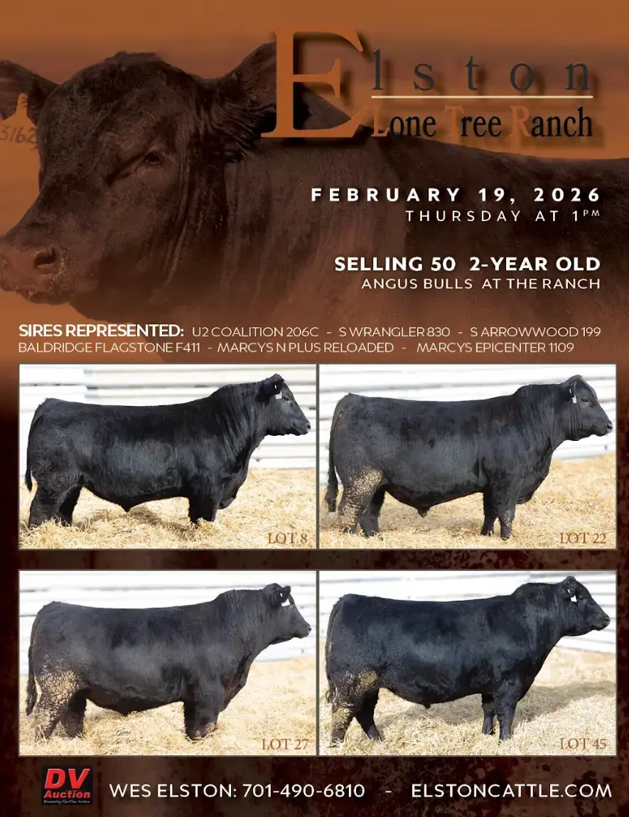 nodakti_253294596672067_6459641740485695565_screenshot-2026-02-03-153716-png-2