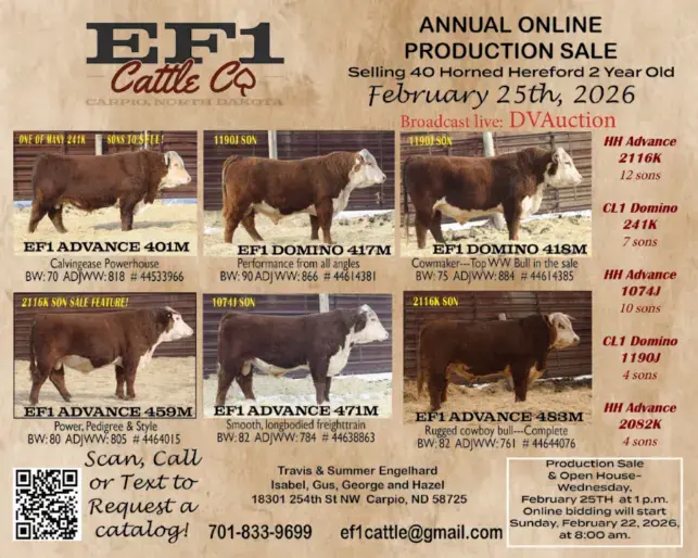 nodakti_253294596672067_6458575475148317761_ef1-png