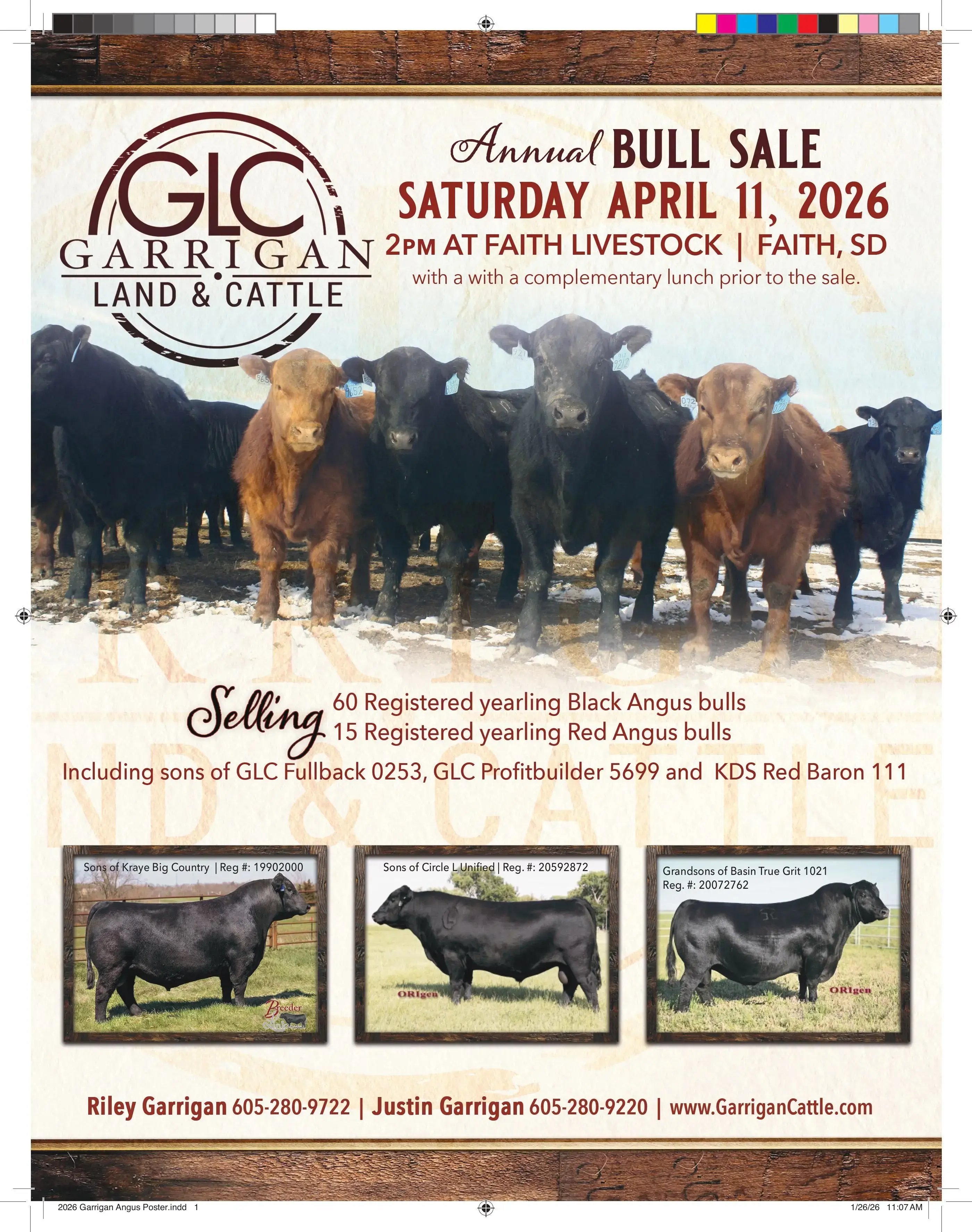 2026-garrigan-angus-poster-jpg