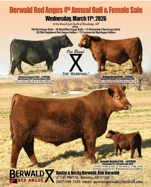 berwald-red-angus-png