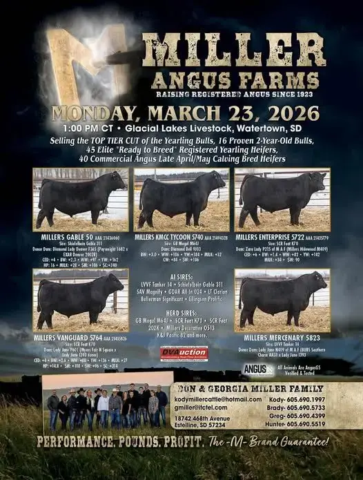 631327903_18070606973548069_4877234039863339698_n-jpg