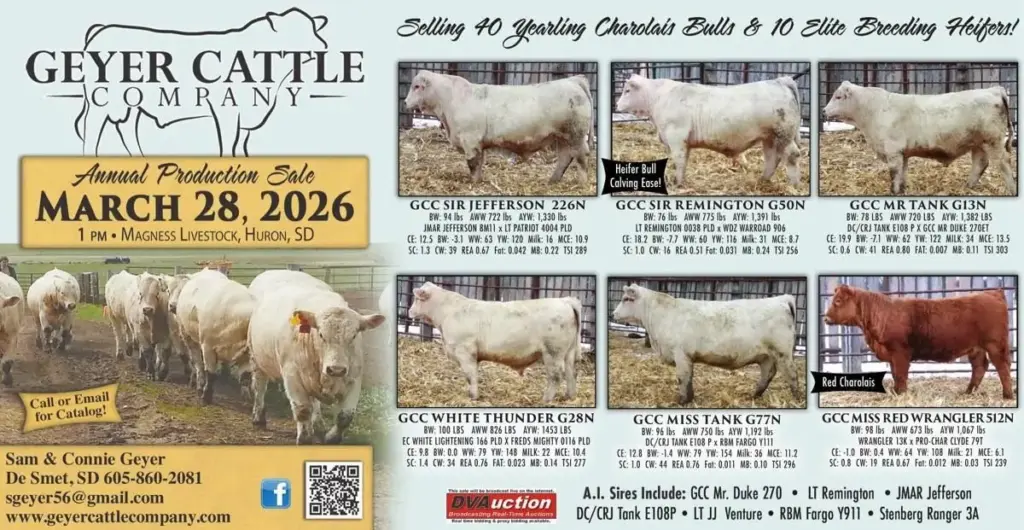 69a5ec66cab7b-preview-jpg