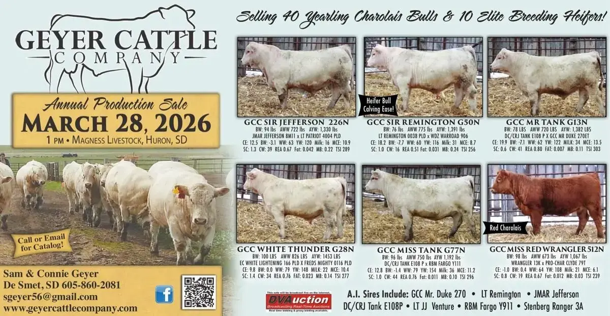 69a5ec66cab7b-preview-jpg