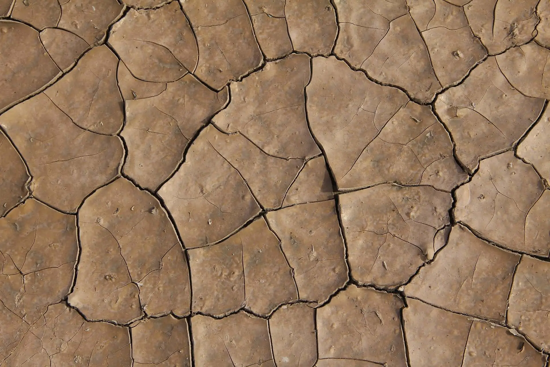 earth-2223292_1920-jpg