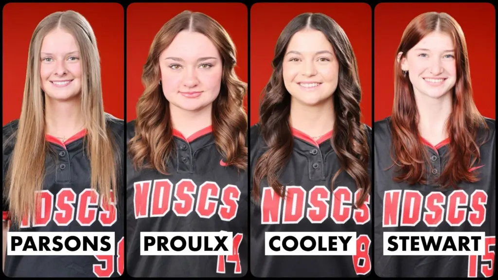 ndscs-collage
