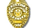 police-gold-shield-jpg
