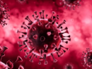 pink-covid-virus-png