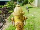 fire-hydrant-jpeg