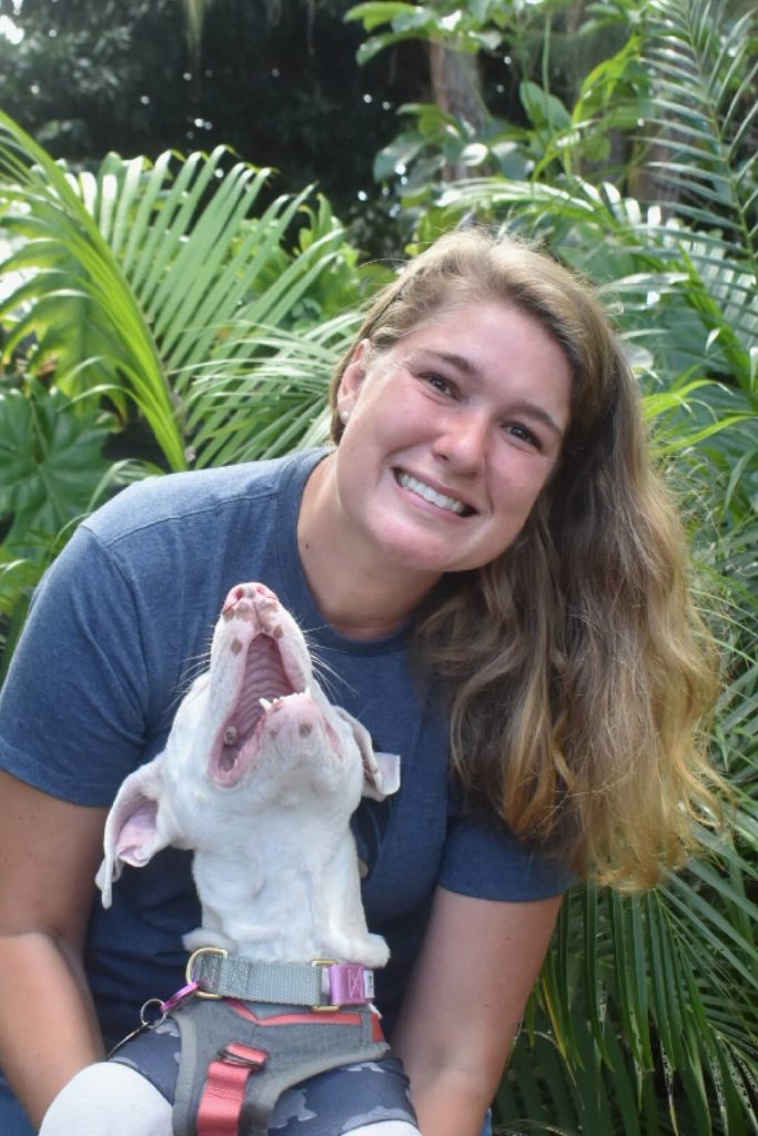 The Hawaiʻi Island Humane Society Announces New CEO - Vimarsana News