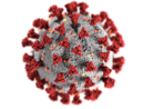 covid-virus-white-back-png-20