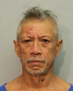 Hilo Man Charged With Reckless Endangering and Illegal Firearm Offenses - Vimarsana News