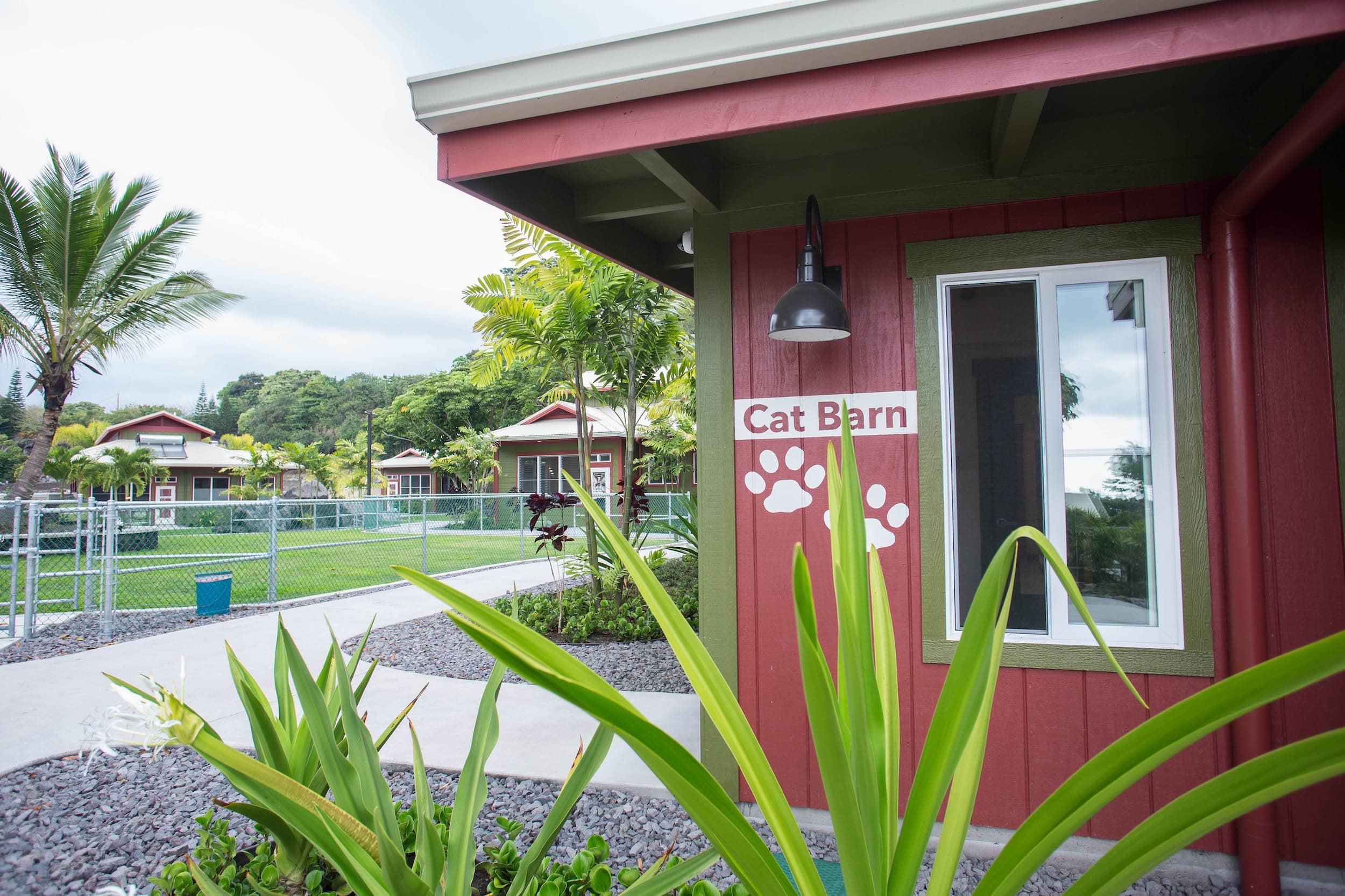 Hawai'i Island Humane Society's Tropical Paws Fundraising Gala Returns