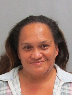 Ka'ū Woman Charged in Arson Investigation - Vimarsana News