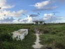 dlnr-habitat-project-jpeg-4