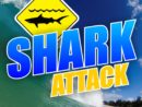 sharkattack-jpg-9
