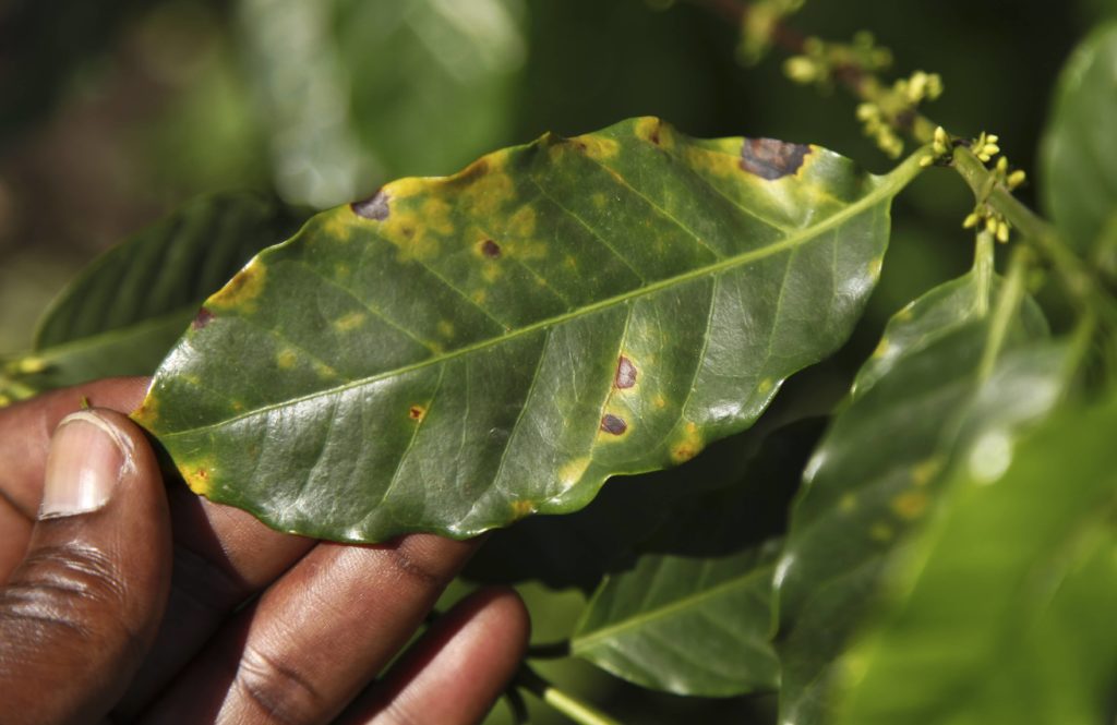 $2.5 Million of USDA Funding for Invasive Species Prevention Announced - Vimarsana News