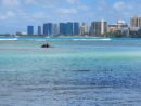 monk-seal-oahu-dlnr-photojpg-jpg-3