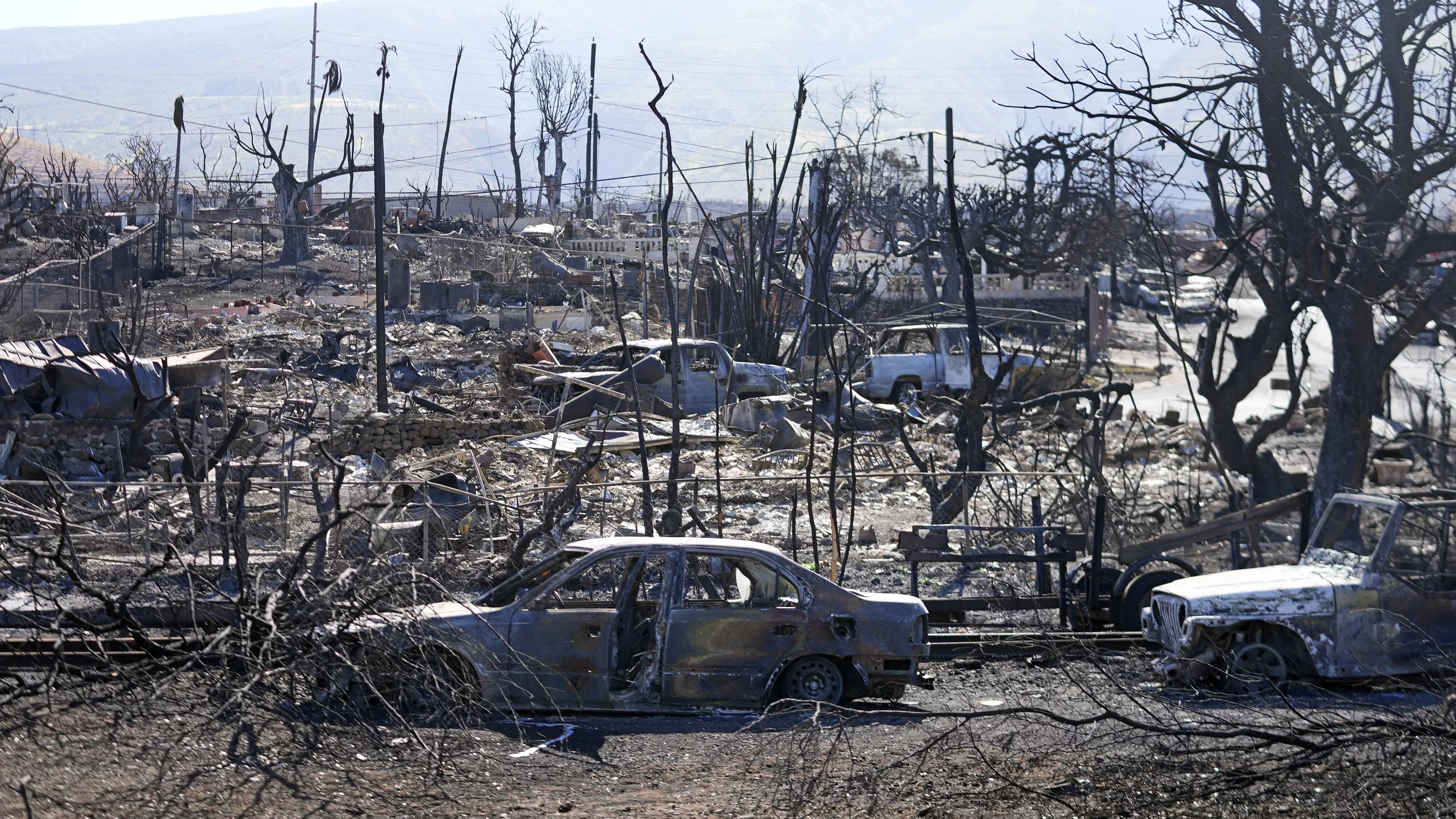 maui-fire-aftermath-ap-photo-jpg-7