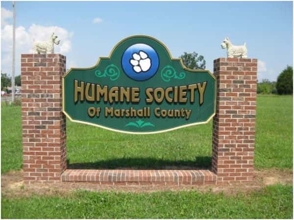 The Humane Society now offers Adoption Ambassador to see what a dog is like with a foster parent.