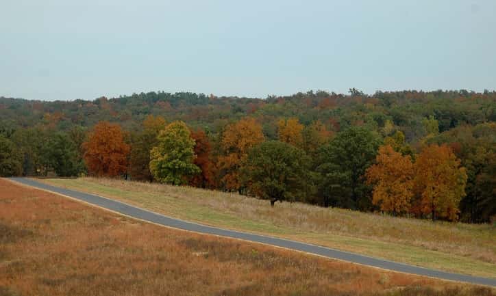LBL Fall Colors