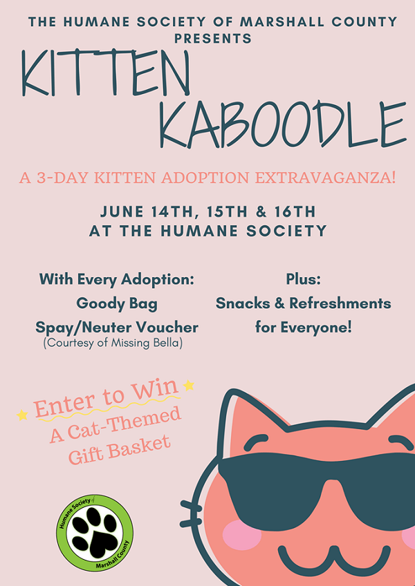 Kitten Kaboodle event at Marshall County Humane Society | Marshall County  