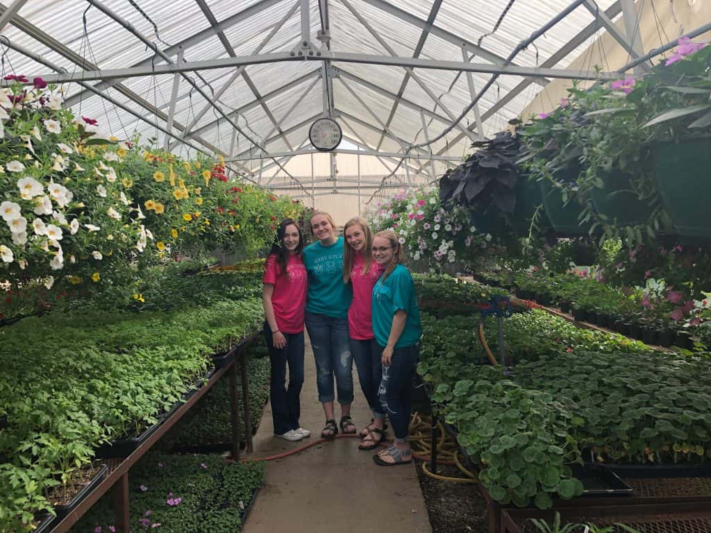 MCHS FFA Greenhouse is OPEN for Business!! Marshall County