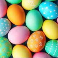 eggs