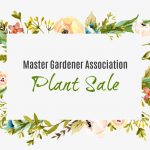 plant-sale
