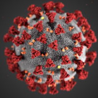 coronavirus-cdc