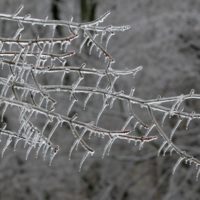 freezing-rain