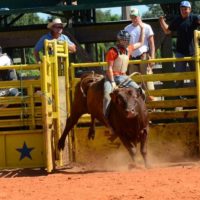 sankey-rodeo-school