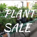 plant-sale-2
