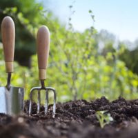 gardening-3