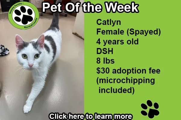 pet-of-the-week-catlyn