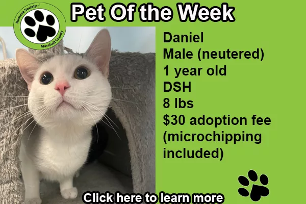 pet-of-the-week-daniel