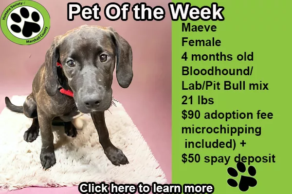 pet-of-the-week-copy-maeve