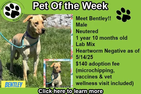 bentley