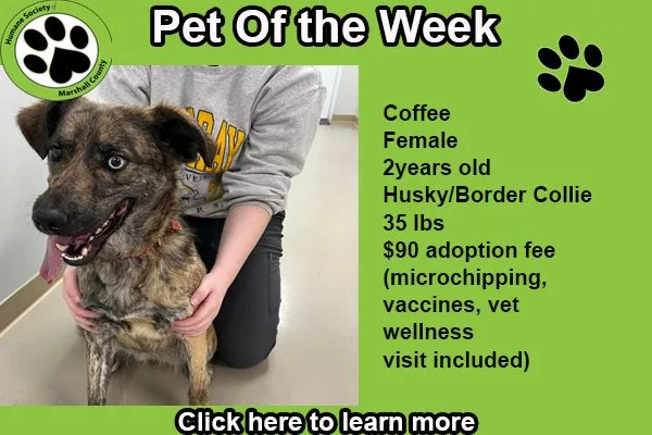 pet-of-the-week-coffee