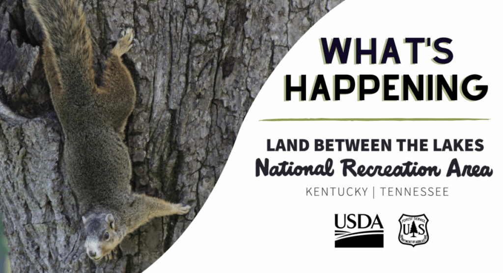 february-events-at-land-between-the-lakes-marshall-county-daily