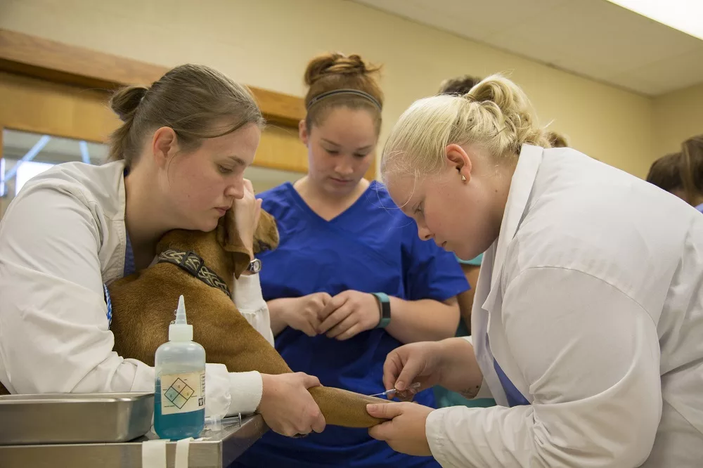 Murray State University s Commonwealth Honors Academy celebrates