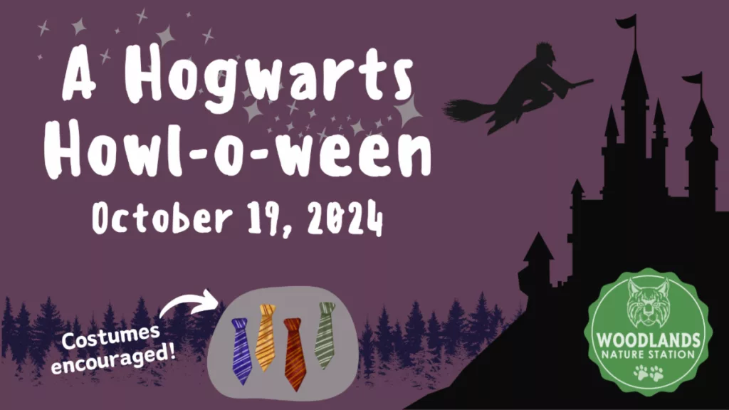 hogwarts-halloween