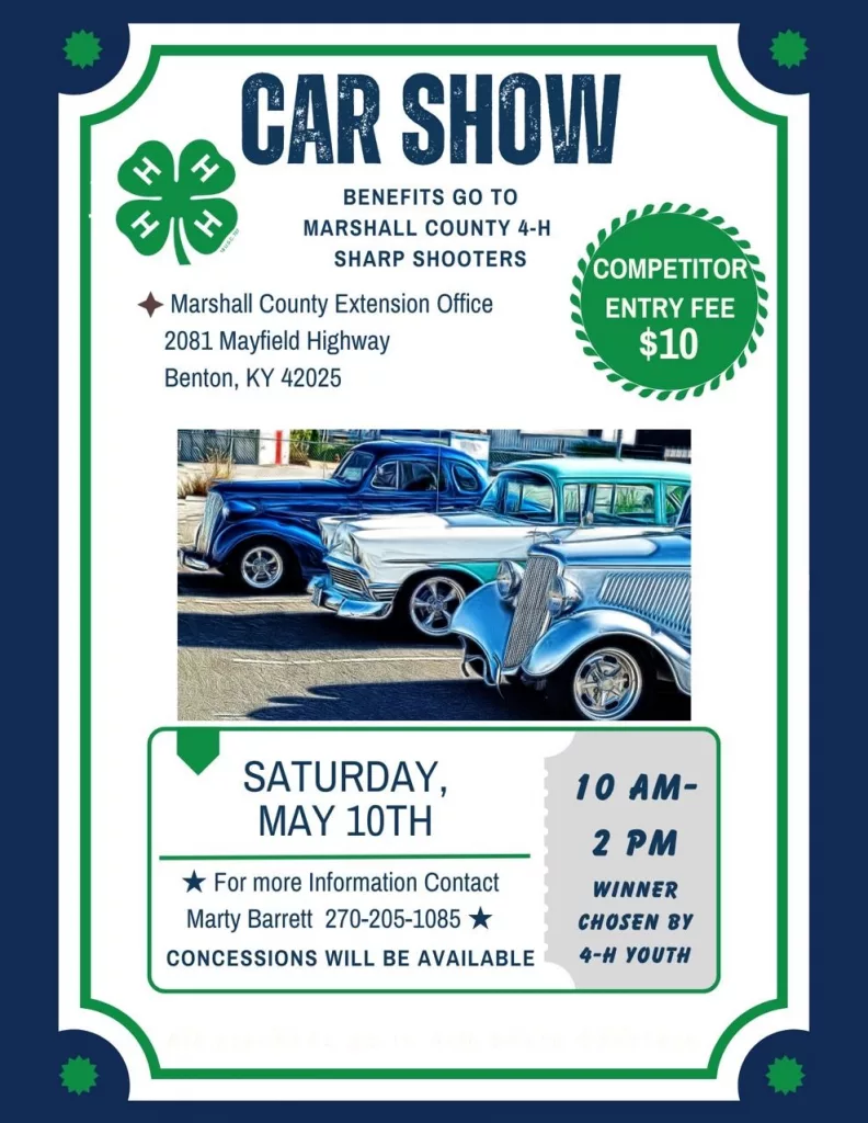 car-show-1