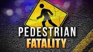 pedestrian-fatality